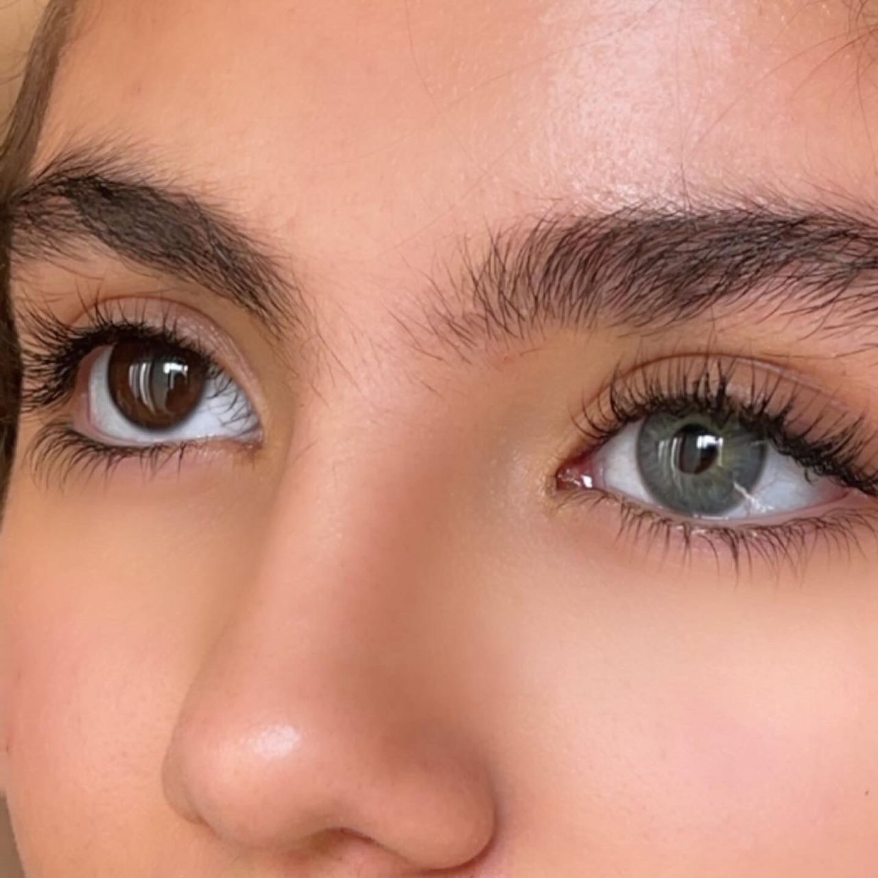 لنز طوسی سبز آبی هاوایی ایفوریا کد705