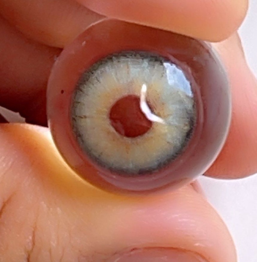 لنز سبز مرکز عسلی دوردار اوسیس جید فرش لیدی کد 915