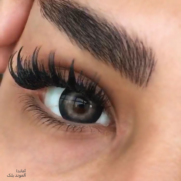 لنز مشکی مرکز طوسی آلموند بلک آماندا کد546