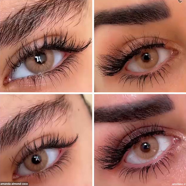لنز عسلی خاکی آلموند کوکو آماندا کد 553