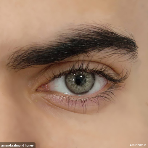 لنز عسلی طوسی دوردار آلموند هانی آماندا کد548