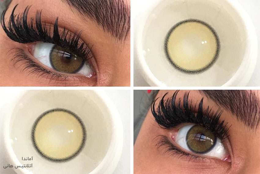 لنز سبز عسلی دور مشکی آتلانتیس هانی آماندا کد 537