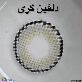 لنز طوسی عسلی دور مشکی دلفین گری آماندا کد 558