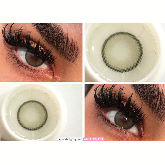 لنز سبز یشمی عسلی دور مشکی لایت گرین آماندا کد544