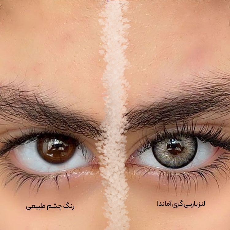 لنز طوسی بژ دور مشکی عروسکی باربی گری اماندا کد 523