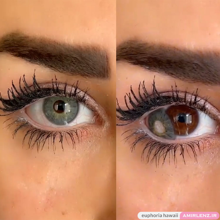 لنز طوسی سبز آبی هاوایی ایفوریا کد705