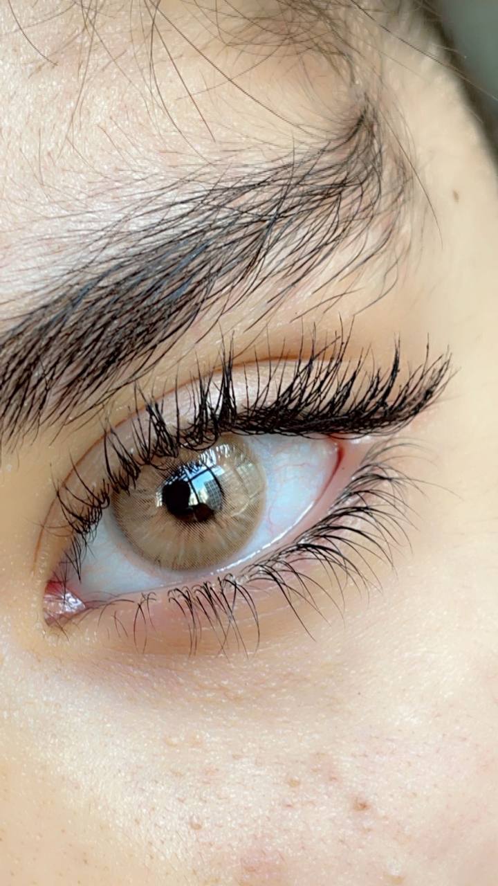 لنز عسلی خاکی آلموند کوکو آماندا کد 553