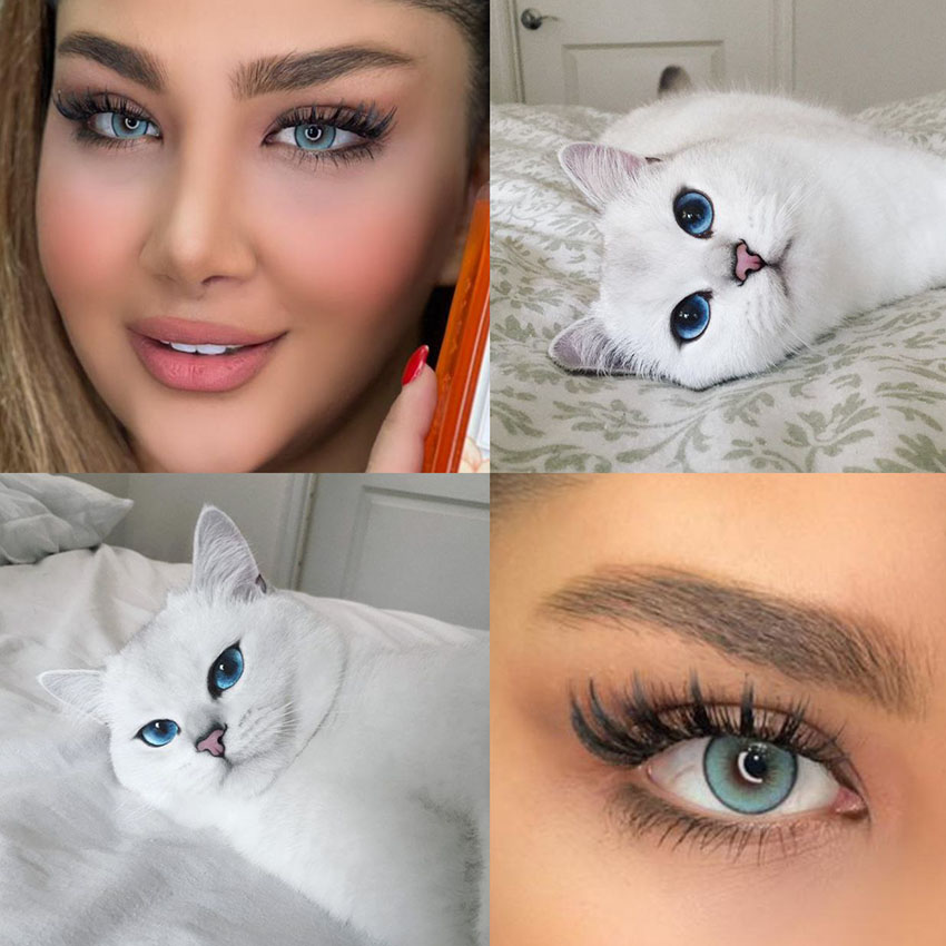 لنز آبی اقیانوسی دور مشکی دایموند بلو آماندا کد547