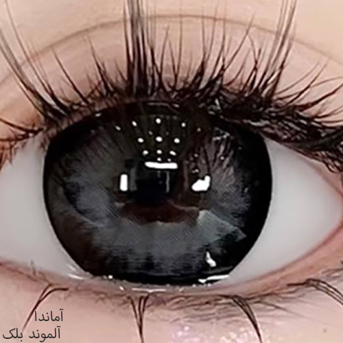 لنز مشکی مرکز طوسی آلموند بلک آماندا کد546