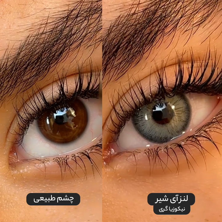 لنز میکس سبز عسلی طوسی دوردار نیکوزیا گری آی شیر کد605