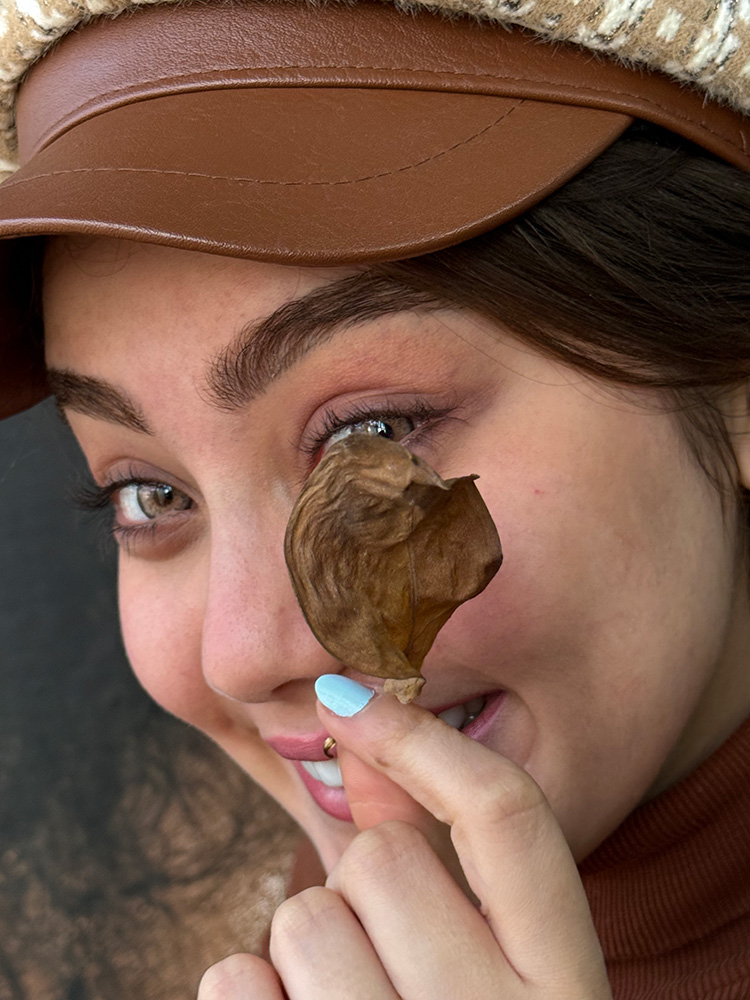 لنز عسلی آجری رگه های خاکی دوردار نیویورک هیزل