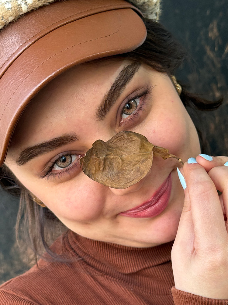 لنز عسلی آجری رگه های خاکی دوردار نیویورک هیزل