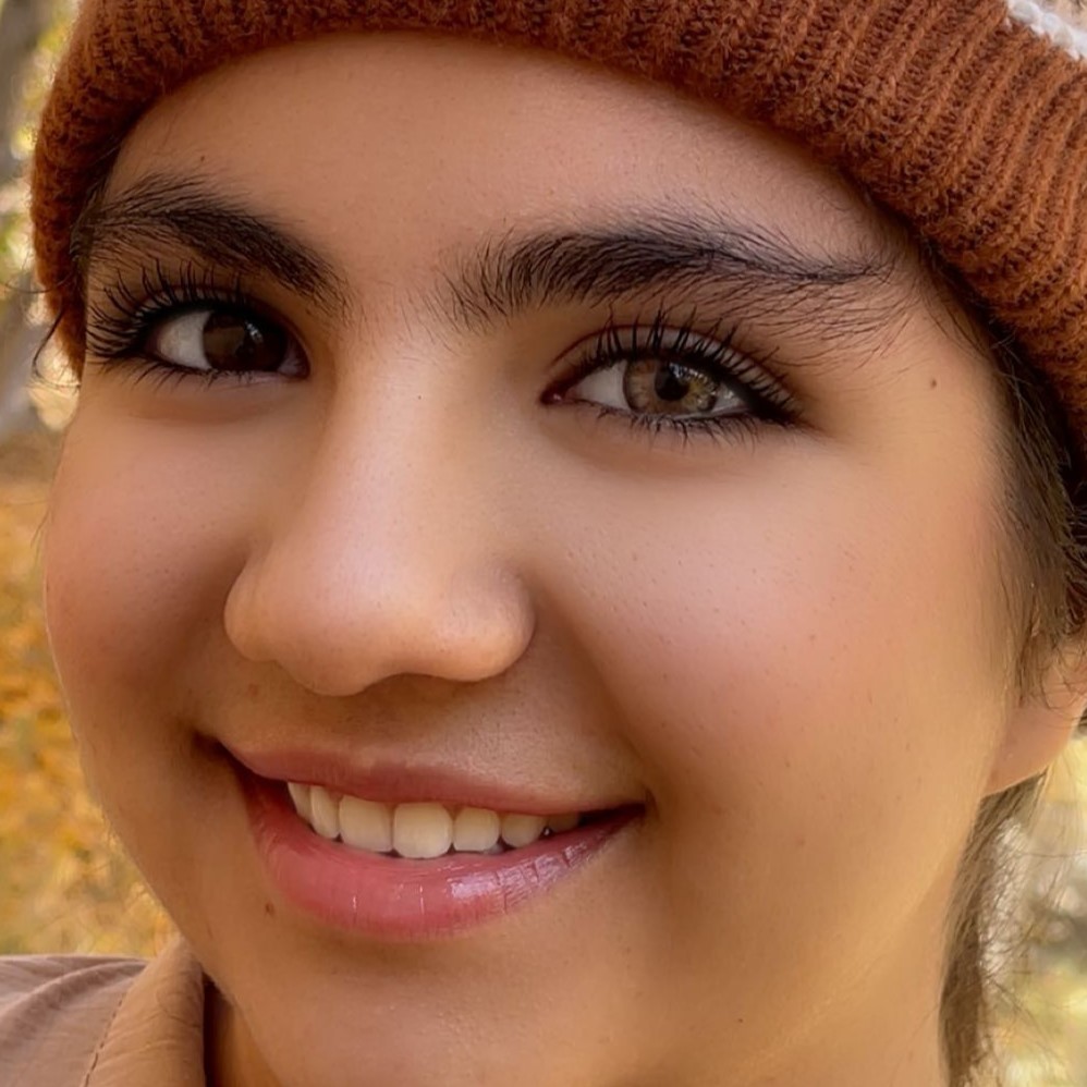 لنز عسلی آجری رگه های خاکی دوردارنیویورک هازل اماندا کد 569