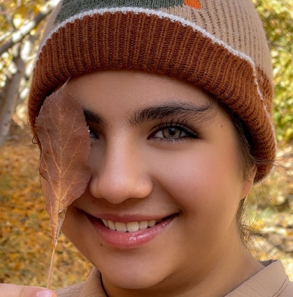 لنز عسلی آجری رگه های خاکی دوردارنیویورک هازل اماندا کد 569