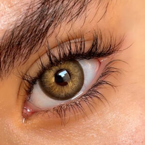 لنز قهوه ای طلایی دوردار نُروی براون آی شیر کد601