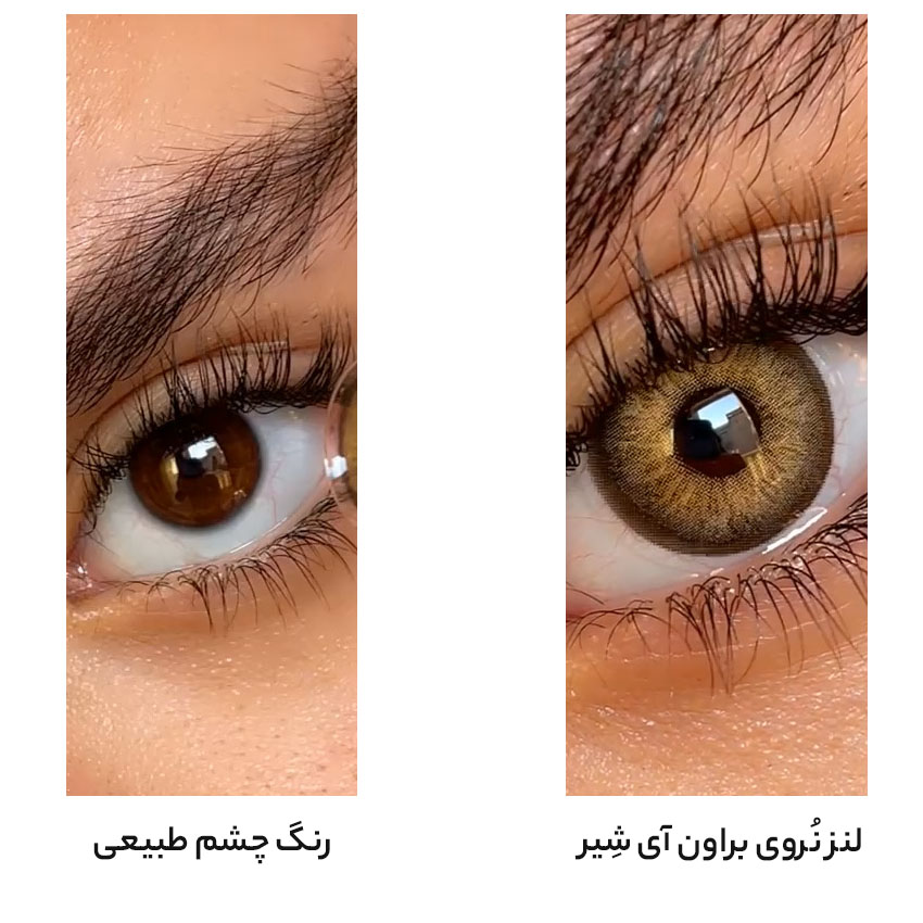 لنز قهوه ای طلایی دوردار نُروی براون آی شیر کد601