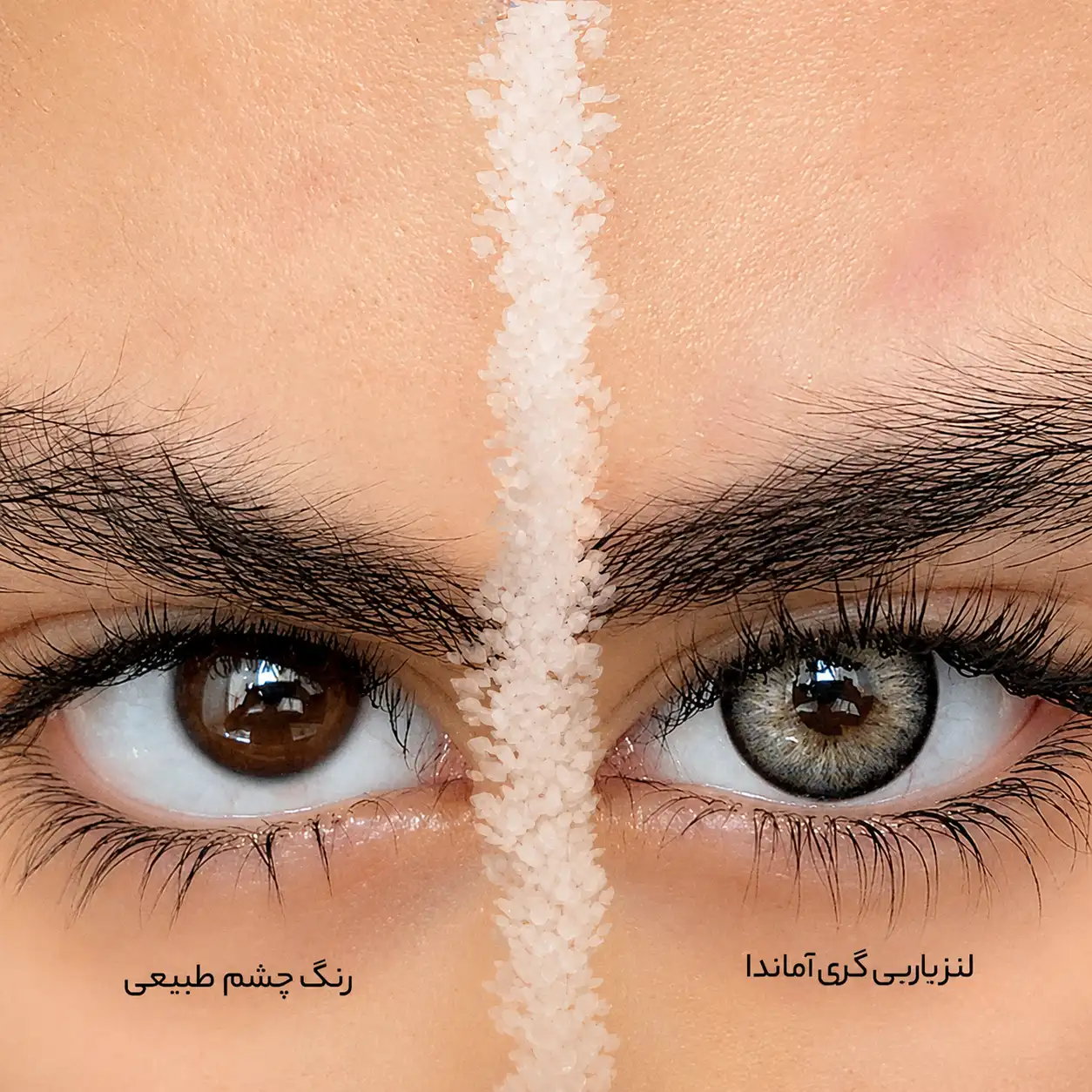 لنز باربی گری آماندا