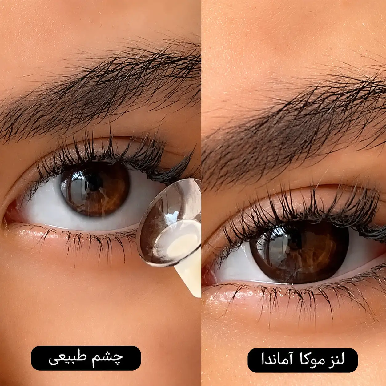 لنز موکا آماندا