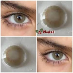 لنز رنگی چشم سبز عسلی ماشی کد 5994 لنز رنگی چشم سبز عسلی ماشی کد 5994